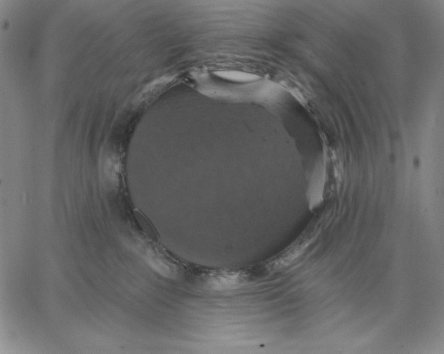 X0000066530235200604071625