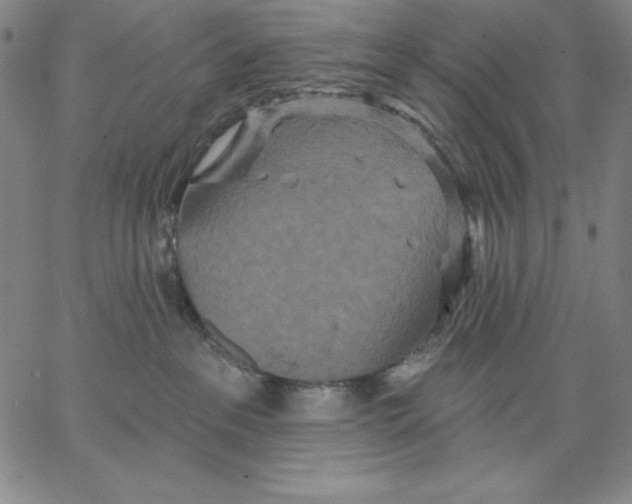 X0000066530237200604071625