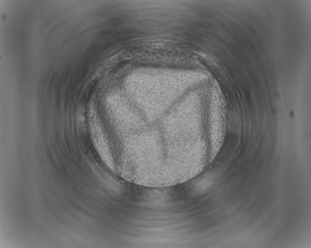 X0000066530238200604071625