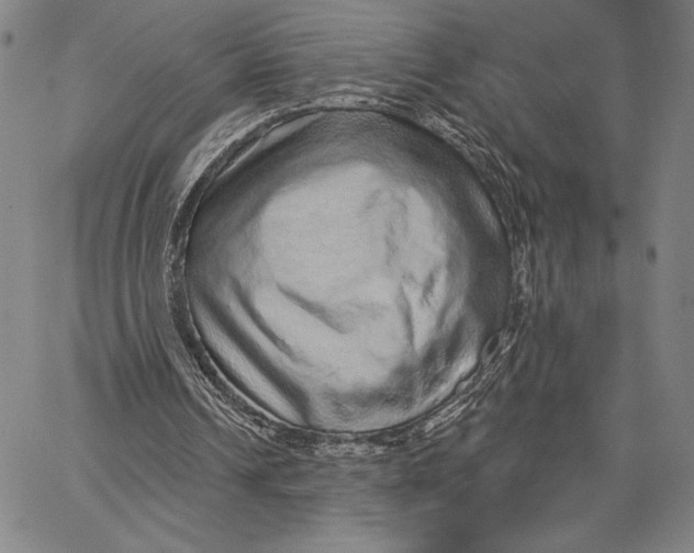 X0000066530242200604071624