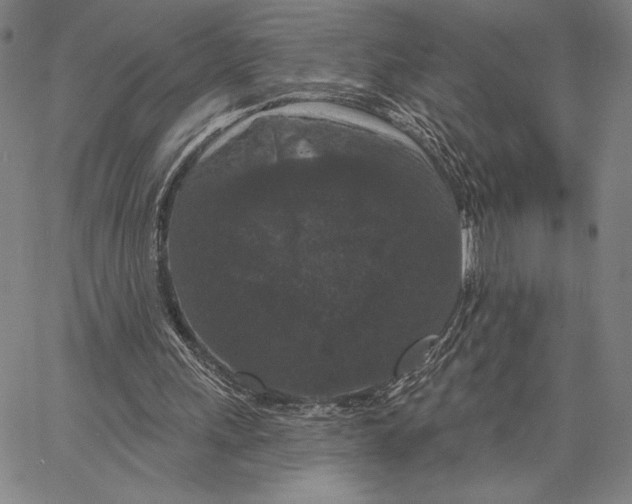 X0000066530243200604071624