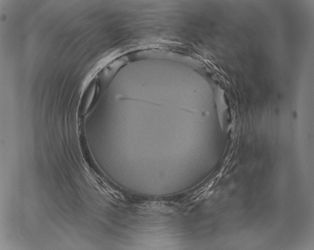 X0000066530244200604071624