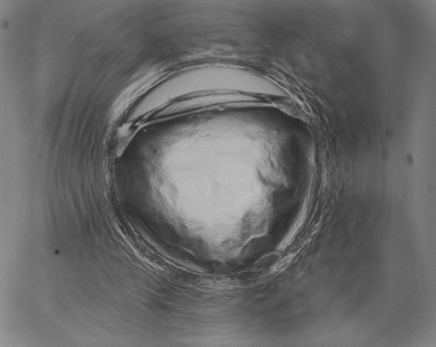 X0000066530245200604071624