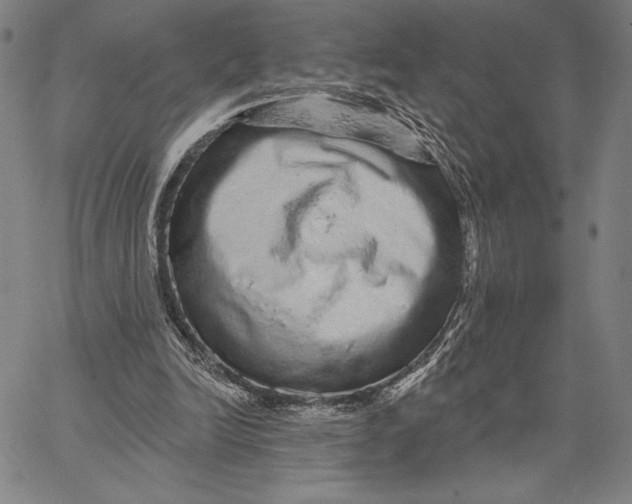 X0000066530246200604071624