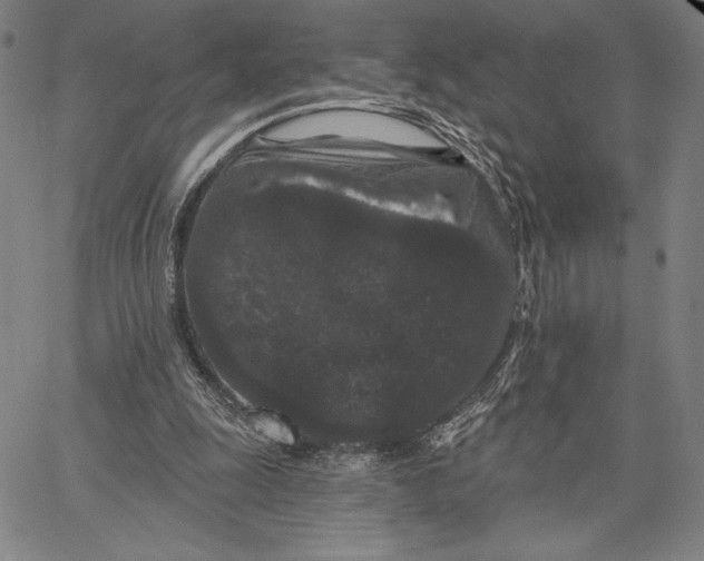 X0000066530247200604071624