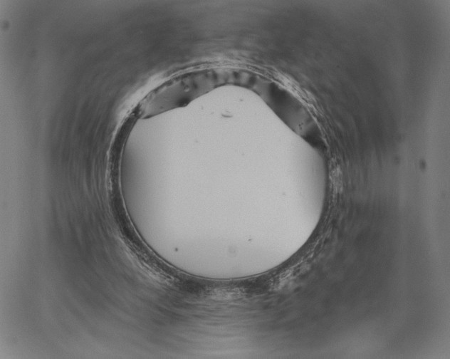 X0000066530248200604071624