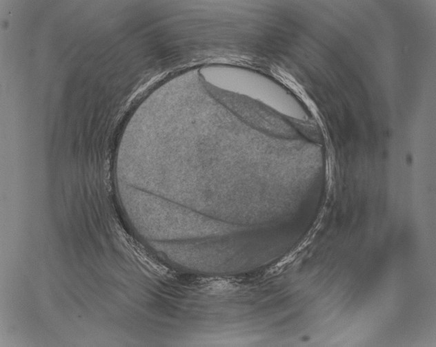 X0000066530249200604071624