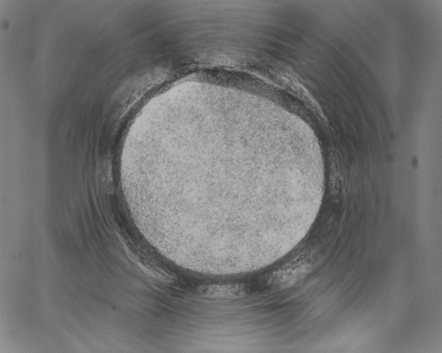 X0000066530251200604071624