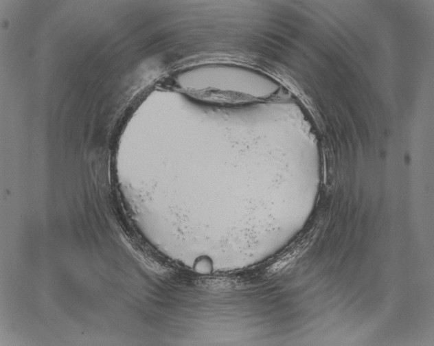 X0000066530253200604071624