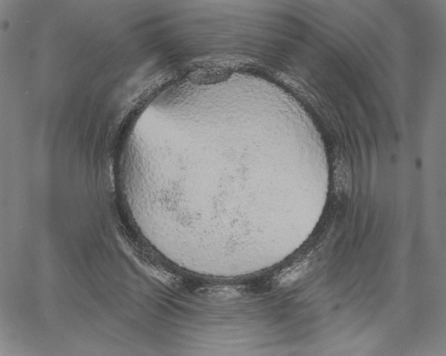 X0000066530254200604071624