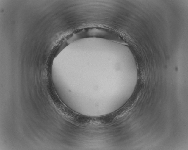 X0000066530256200604071624