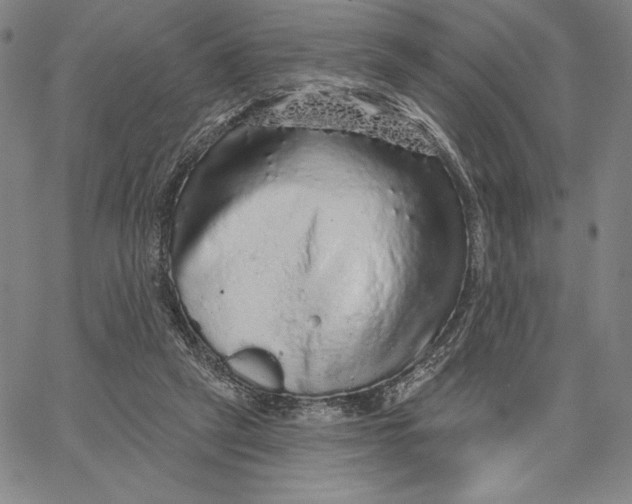 X0000066530257200604071624