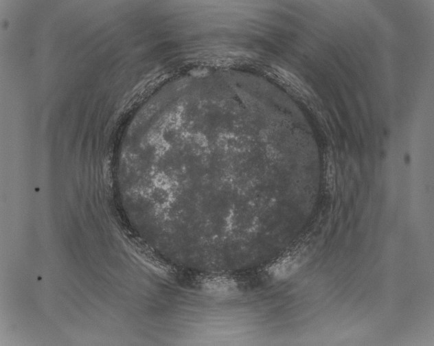 X0000066530258200604071624