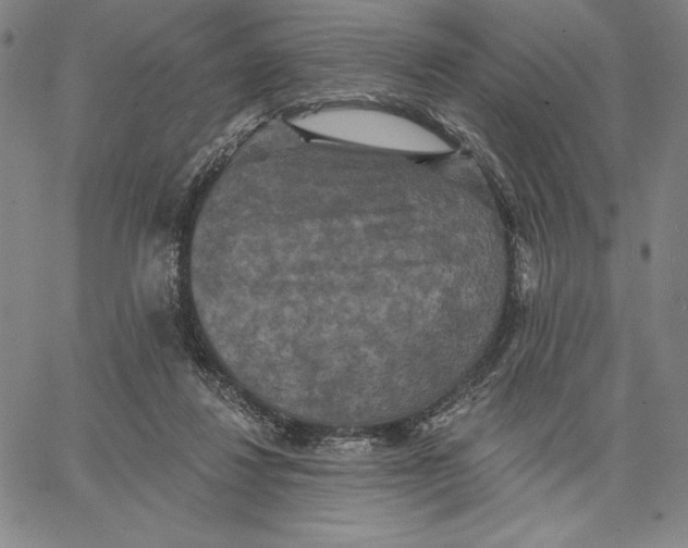 X0000066530260200604071624