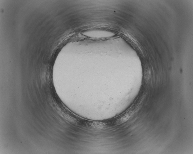 X0000066530261200604071624