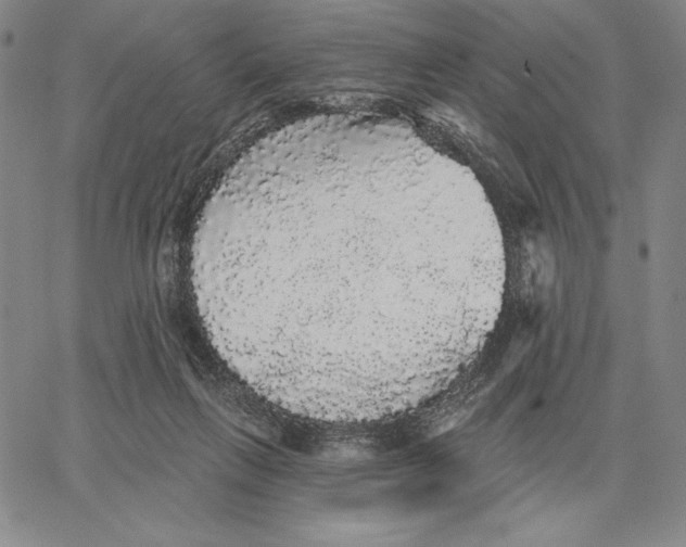 X0000066530263200604071624