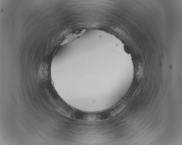 X0000066530264200604071624