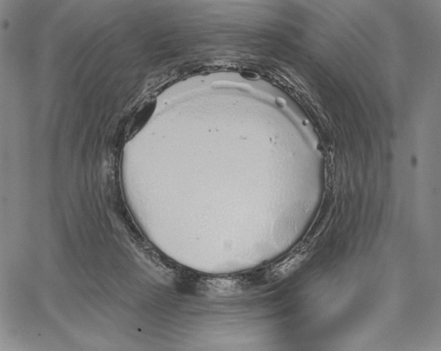 X0000066530265200604071624