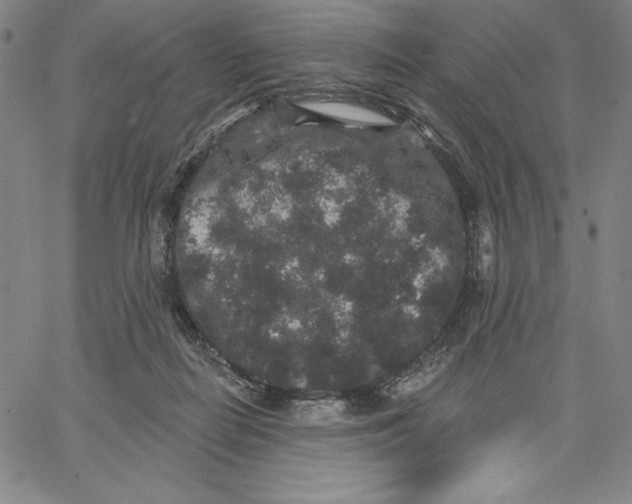 X0000066530266200604071624