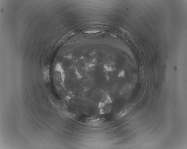 X0000066530267200604071624