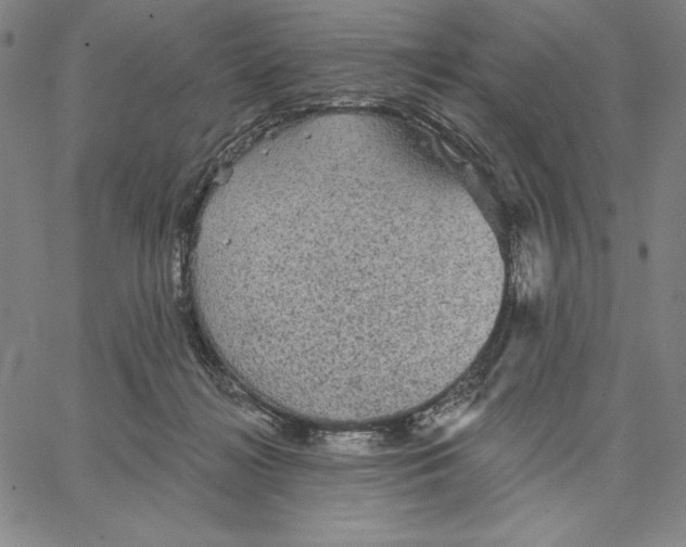 X0000066530268200604071624