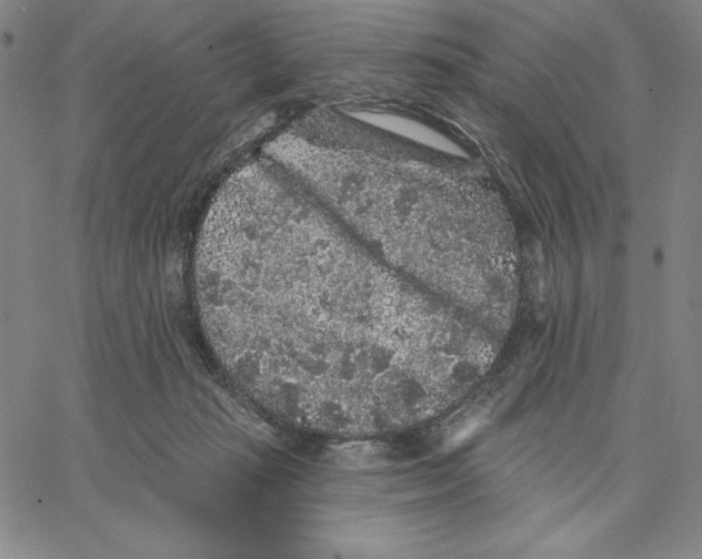 X0000066530269200604071624