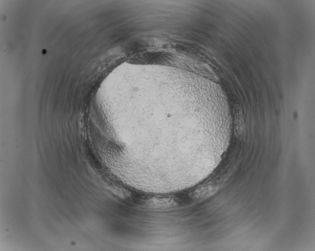 X0000066530270200604071624