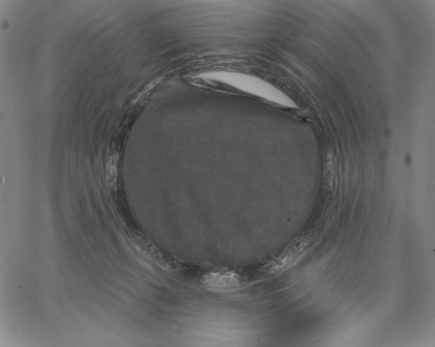 X0000066530271200604071624