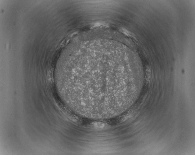 X0000066530272200604071624