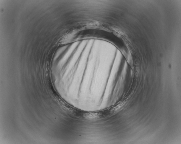 X0000066530273200604071624