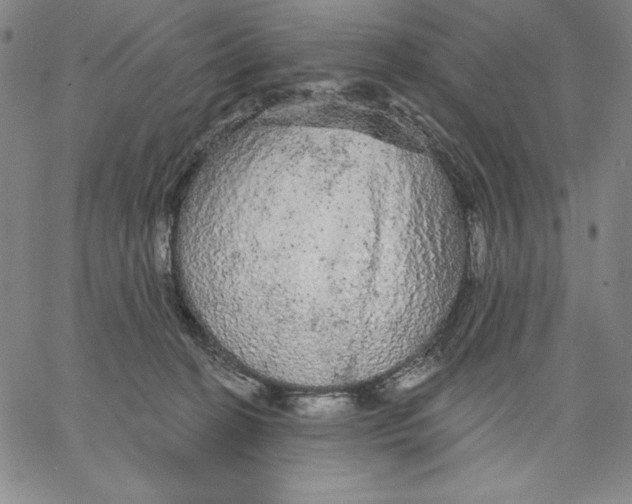 X0000066530274200604071624