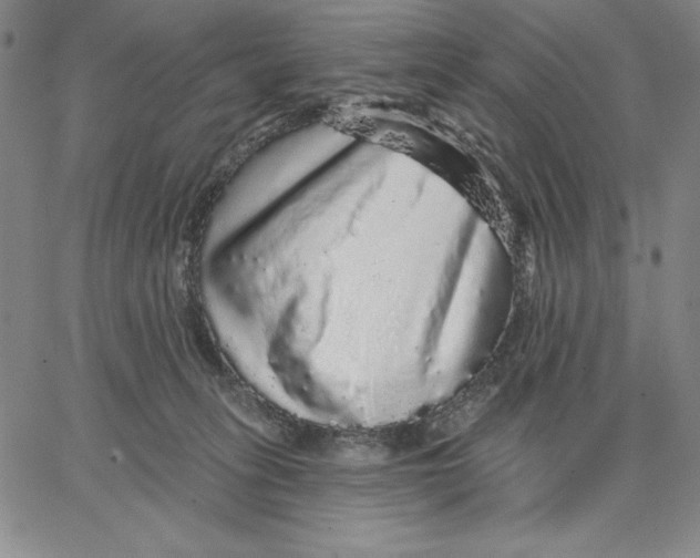 X0000066530275200604071624