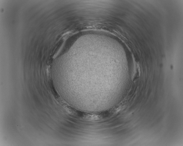 X0000066530276200604071624