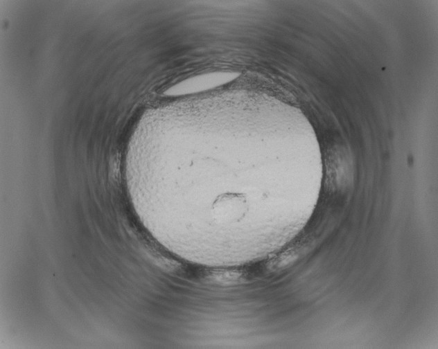 X0000066530278200604071624