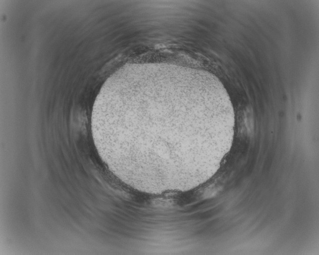 X0000066530279200604071624