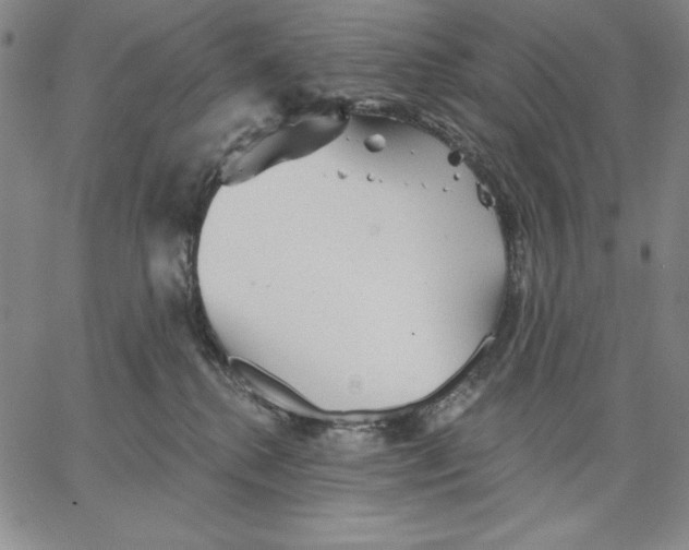 X0000066530280200604071624