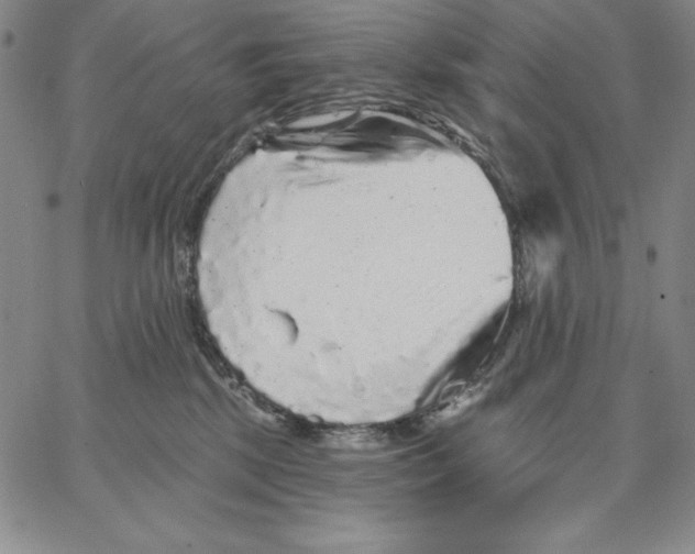 X0000066530281200604071624