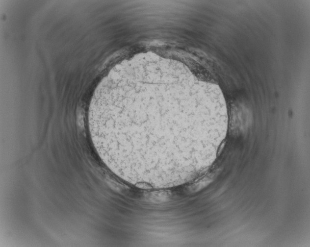 X0000066530282200604071624