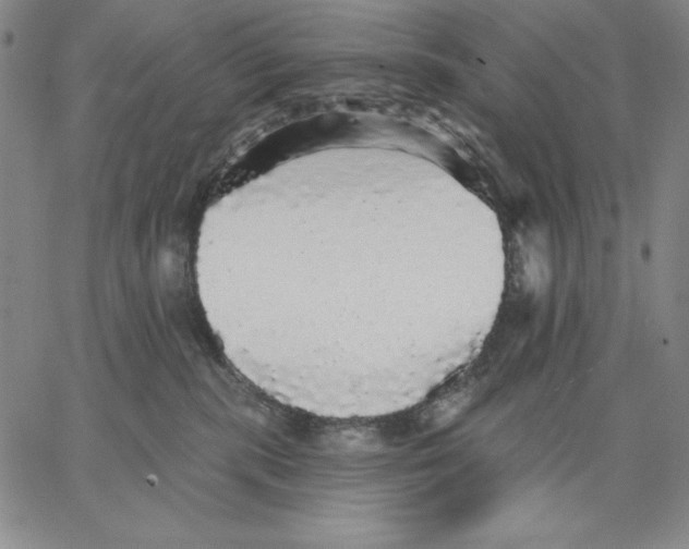 X0000066530283200604071624