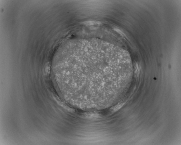 X0000066530284200604071624