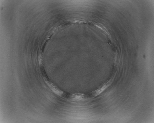 X0000066530285200604071624