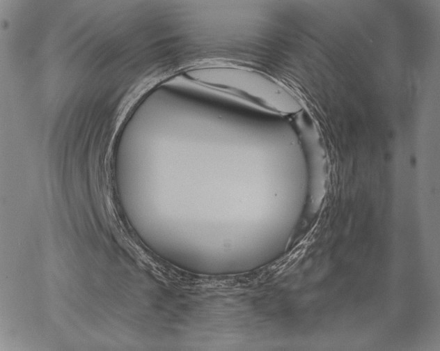 X0000066530289200604071624