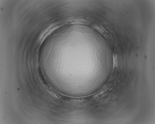 X0000066530291200604071624