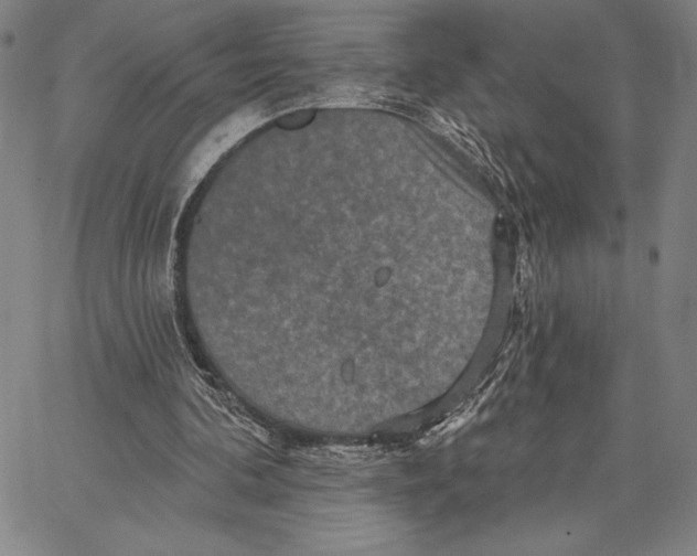 X0000066530292200604071624