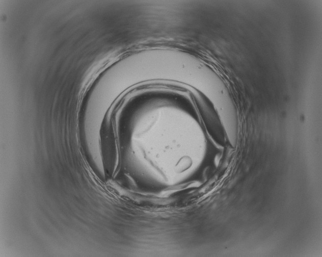 X0000066530293200604071624