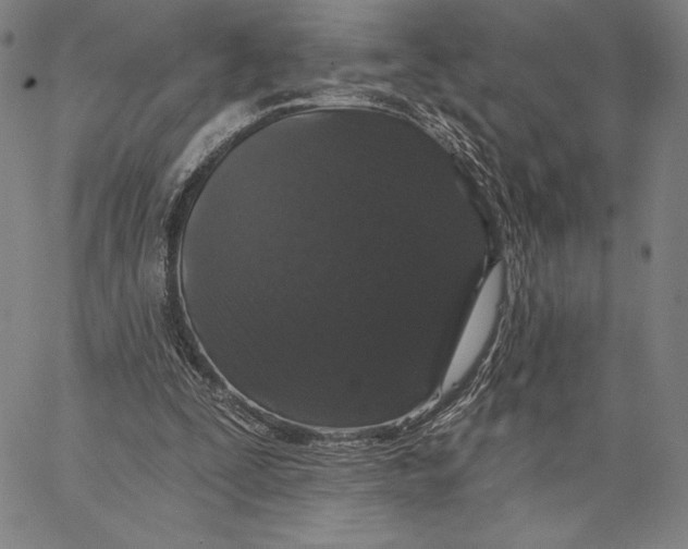 X0000066530295200604071624