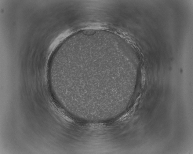 X0000066530296200604071624