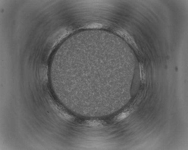 X0000066530300200604071624