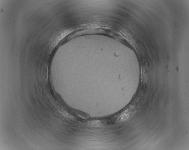 X0000066530301200604071624