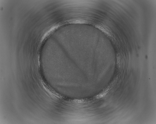 X0000066530302200604071624